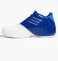 Кросівки чоловічі Adidas T-Mac 1 Basketball Shoes Blue/White Gy2402