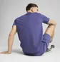 Футболка мужская Puma Ess Elevated Tee Blue 684726-46