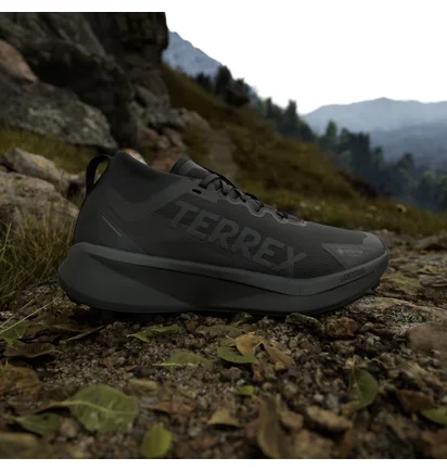Кросівки чоловічі Adidas Terrex Agravic Gtx Black JR5240