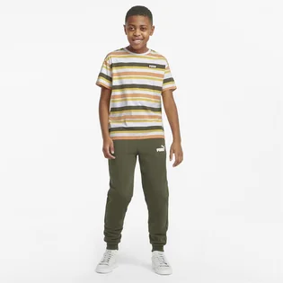 Футболка детская Puma Alpha Striped Multi 847293-02