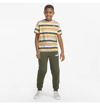 Футболка детская Puma Alpha Striped Multi 847293-02