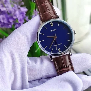 Часы женские Casio Timeless Collection LTP-VT01L-2B