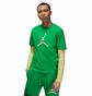 Футболка женская Air Jordan Lucky Green FJ2510-310