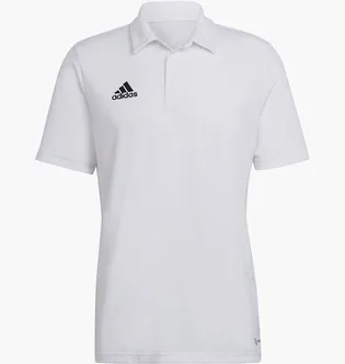 Поло чоловіче Adidas Wit Entrada 22 Poloshirt White HC5067