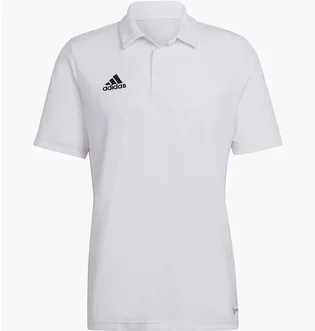 Поло мужское Adidas Wit Entrada 22 Poloshirt White HC5067