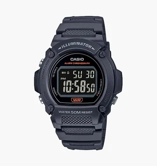 Часы мужские Casio W-219H-8B