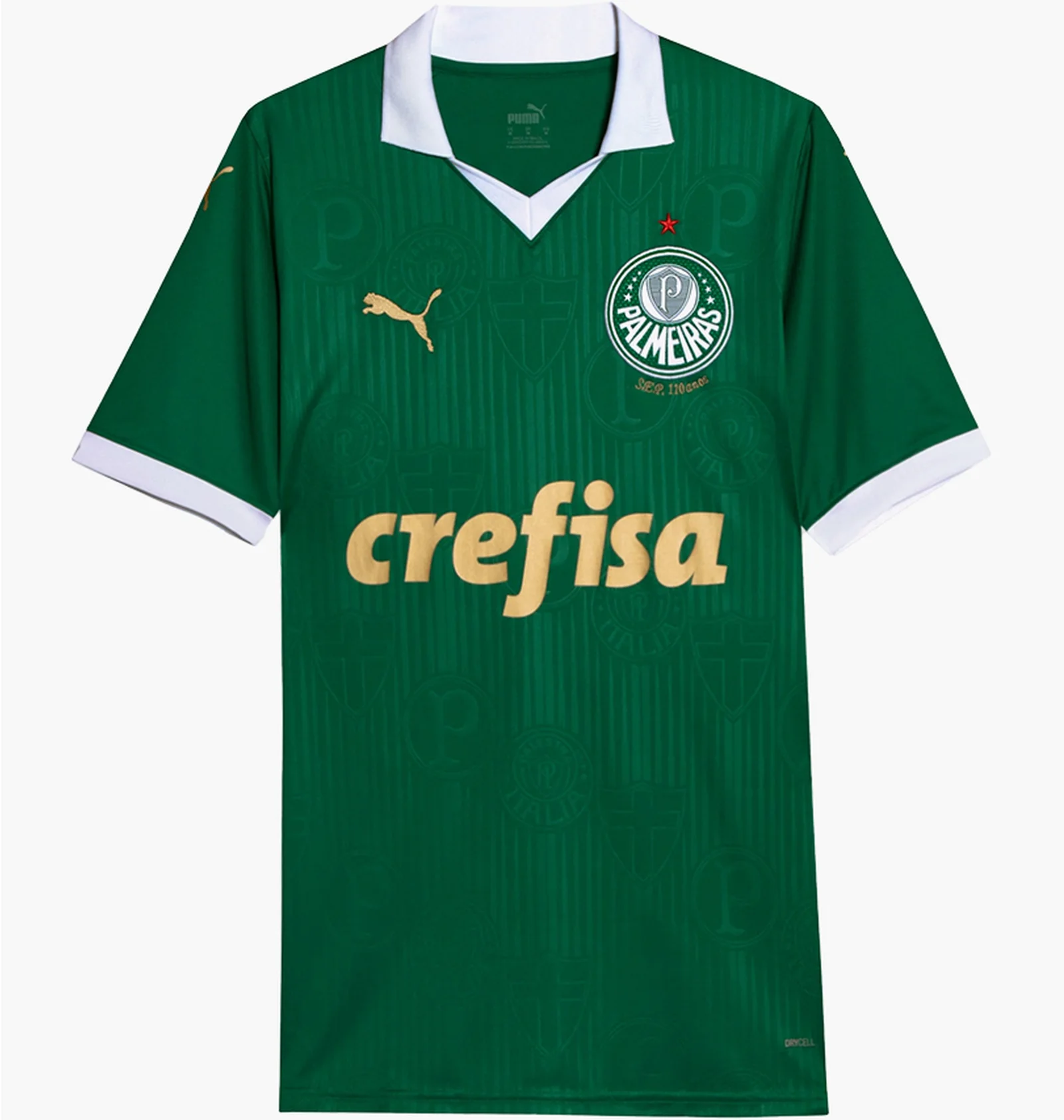 ᐉ Футболка мужская Puma Palmeiras Fans 24 Home Jersey Green
