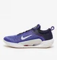 Кроссовки мужские Nike Court Zoom Nxt Hc Violet DH0219-400