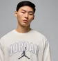 Футболка мужская Air Jordan Brk Arch Jd Hbr Crew White IB7347-133