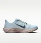 Кросівки чоловічі Nike Pegasus Plus Blue FQ7262-406