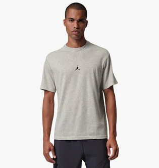 Футболка мужская Air Jordan Sport Grey IB6757-050