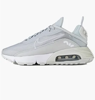 Кросівки жіночі Nike W Air Max 2090 Grey CZ3867-001