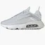 Кросівки жіночі Nike W Air Max 2090 Grey CZ3867-001