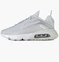 Кросівки жіночі Nike W Air Max 2090 Grey CZ3867-001