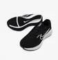 Кросівки чоловічі Nike Downshifter 13 Extra Wide Black FJ1284-001