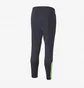 Штаны мужские Puma Individualfinal Training Pant Blue 65804447