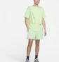 Шорты мужские Nike Acg Reservoir Goat Shorts Green FN2472-376