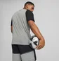 Футболка мужская Puma Teamcup Casuals Tee Grey 657992-13