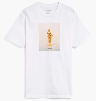 Футболка мужская Fucking Awesome 2035 Statue White PN25343