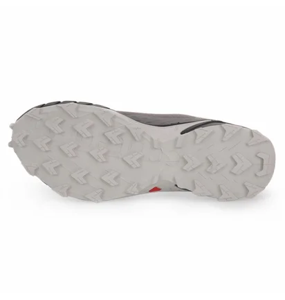 Кроссовки мужские Salomon Alphacross 5 Gtx Grey 473133