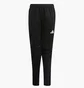 Штани дитячі Adidas Tierro 26 Black KF5961