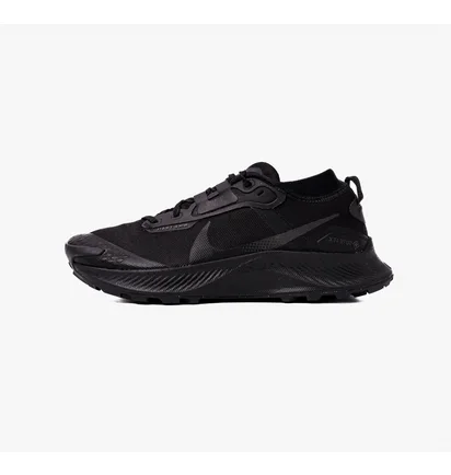 Кроссовки мужские Nike Pegasus Trail 3 Gtx Black DC8793-001