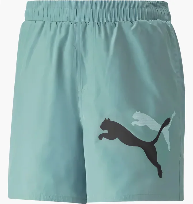 Шорты мужские Puma Ess+ Logo Power Turquoise 673382-84