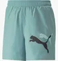 Шорты мужские Puma Ess+ Logo Power Turquoise 673382-84