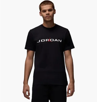 Футболка мужская Air Jordan Air Ss Crew Black IB7353-010