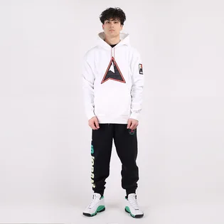 Худі чоловіче Air Jordan Mountainside Fleece Pullover Hoodie White CT3489-100