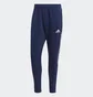 Штаны мужские Adidas Tiro 21 Sweat Pants Blue GH4467