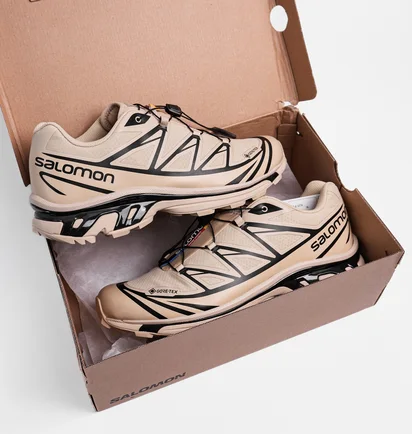 Кросівки чоловічі Salomon Xt-6 Gtx Beige 474455