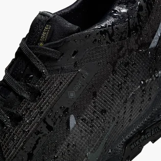Кросівки унісекс Nike Pegasus Trail 5 Gore-Tex Black FQ0912-002