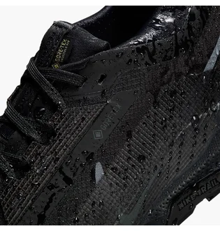 Кроссовки унисекс Nike Pegasus Trail 5 Gore-Tex Black FQ0912-002
