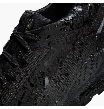 Кросівки унісекс Nike Pegasus Trail 5 Gore-Tex Black FQ0912-002