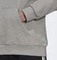 Худи мужское Adidas Adicolor Classics Trefoil Hoodie Grey H06669