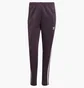 Штани жіночі Adidas Adicolor Sst Violet IY2185