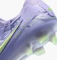Бутсы мужские Nike Legend 10 Elite Fg Violet HF1592-500