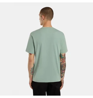 Футболка унисекс Dickies Icon Logo Turquoise DK0A4XC9K361
