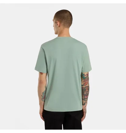 Футболка унісекс Dickies Icon Logo Turquoise DK0A4XC9K361