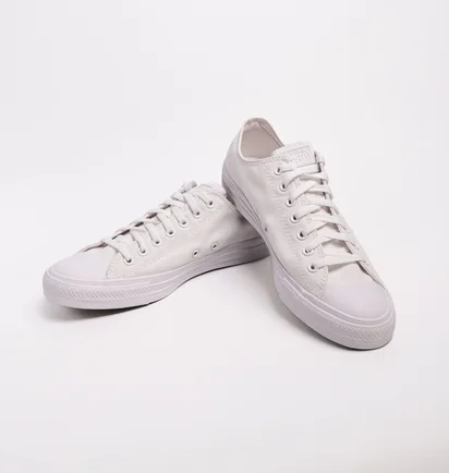 Кеды унисекс Converse Chuck Taylor All Star Mono Canvas Ox 1U647 White
