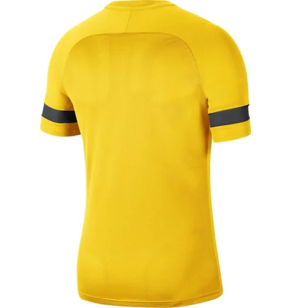 Футболка чоловіча Nike Academy 21 Dry Ss Tee Yellow Cw6101-719