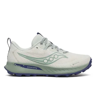 Кросівки жіночі Saucony Peregrine 15 Gtx Beige/Green S10992-260