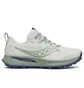 Кросівки жіночі Saucony Peregrine 15 Gtx Beige/Green S10992-260