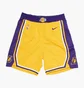Шорты мужские Nike La Lakers Short Yellow/Violet AJ5617-728