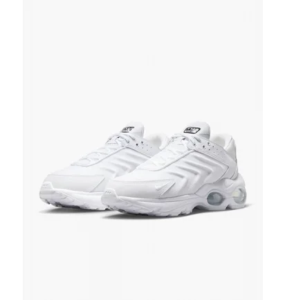 Кросівки чоловічі Nike Air Max Tw MenS Shoes White DQ3984-102