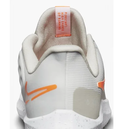Кросівки жіночі Nike Air Zoom Pegasus 39 Shield Beige Do7626-004