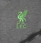 Ветровка мужская Nike Liverpool F.C. Tech Fleece Windrunner Grey DV4825-071