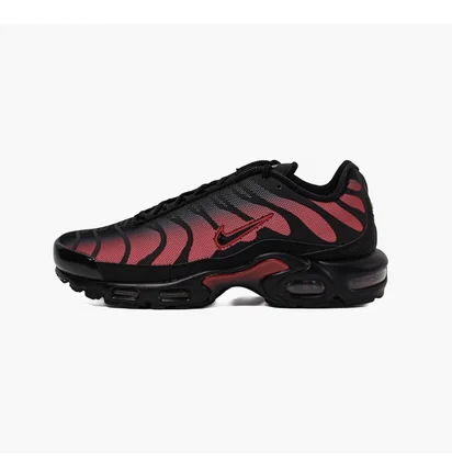 Кросівки чоловічі Nike Air Max Plus Black DZ4507-600