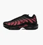 Кросівки чоловічі Nike Air Max Plus Black DZ4507-600